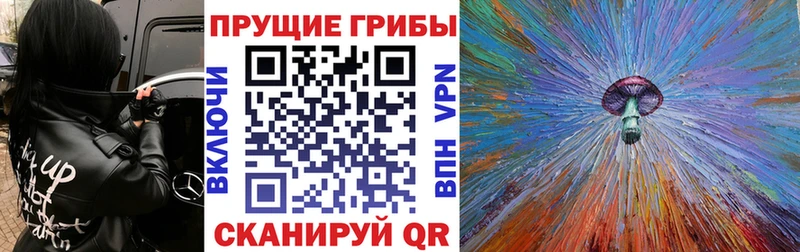 Галлюциногенные грибы MAGIC MUSHROOMS  Тында 