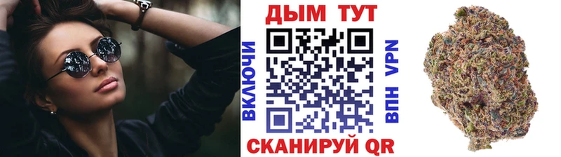 Конопля сатива Тында
